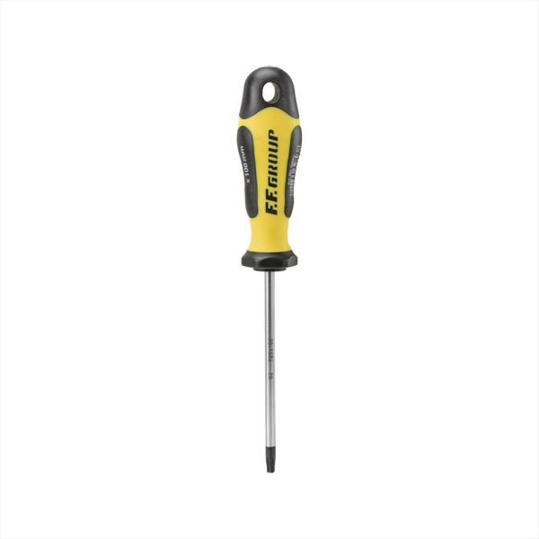 ΚΑΤΣΑΒΙΔΙ TORX Τ15*100mm FF GROUP - 32891